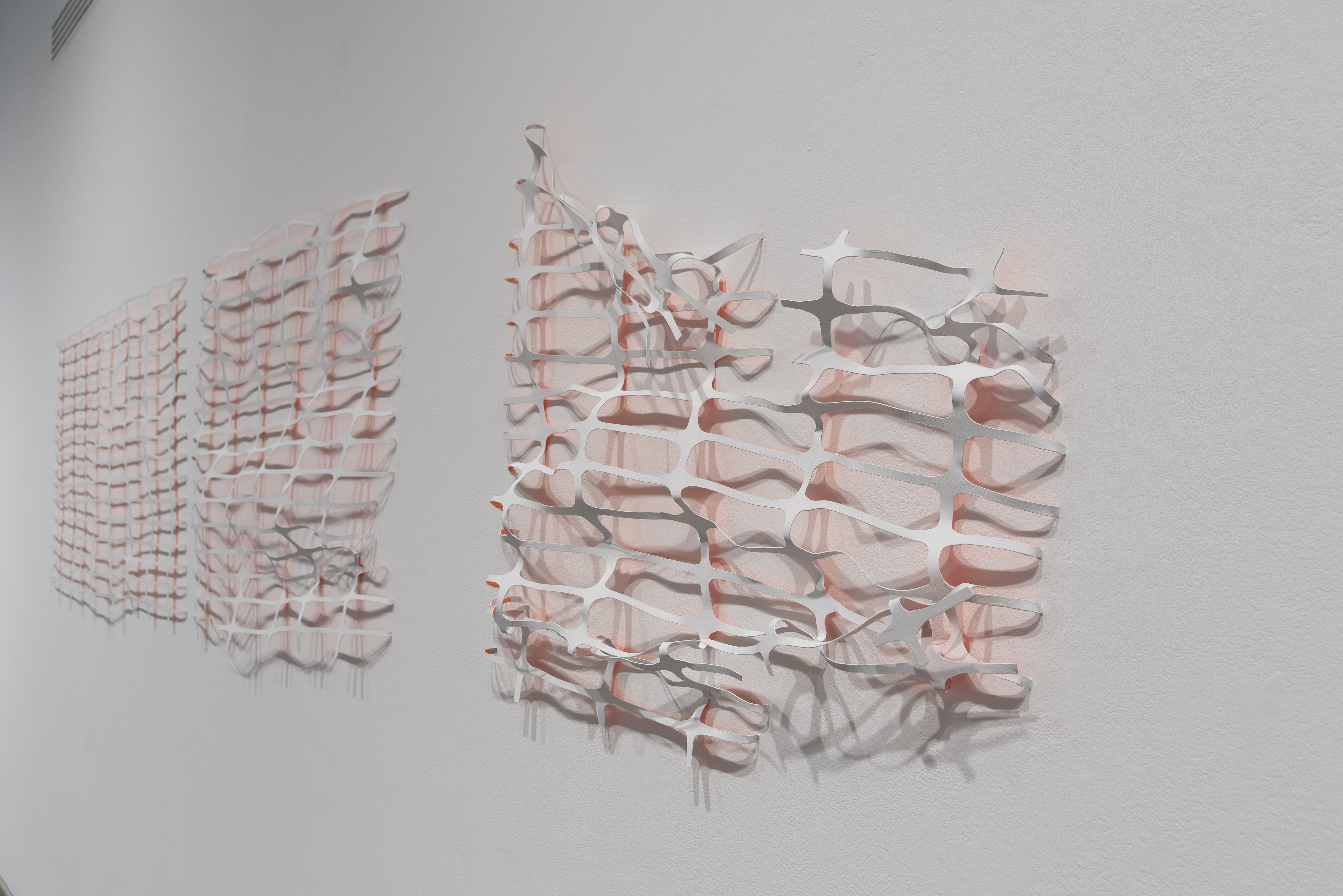 Overlooked Installation exhibits 62 by Natalie Macellaio